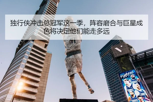 独行侠冲击总冠军这一季，阵容磨合与巨星成色将决定他们能走多远